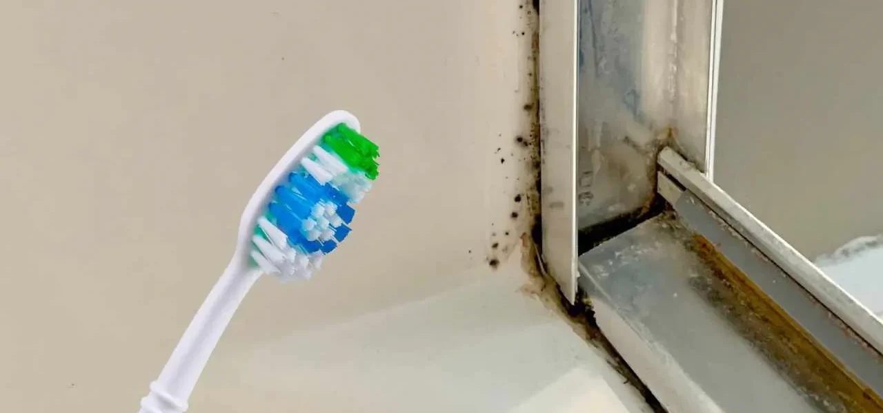 ¿Esquinas de la ducha con moho? Puedes solucionarlo y dejarlo todo limpio de nuevo.