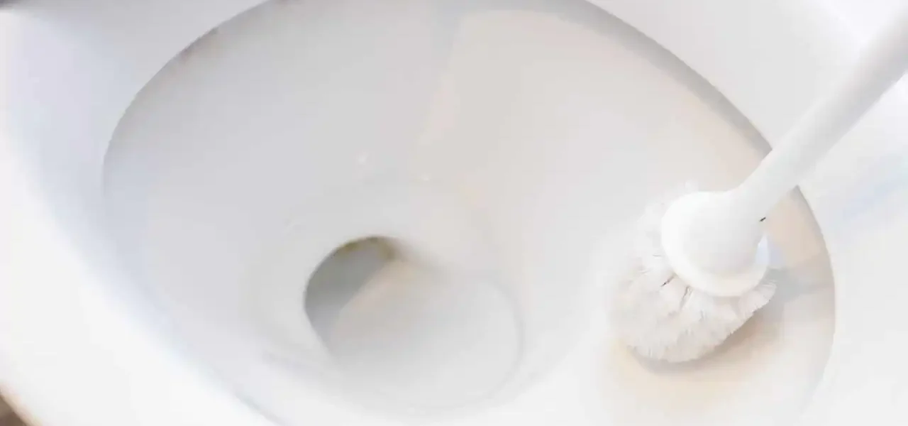 Inodoro: cómo pelar las manchas de piedra caliza