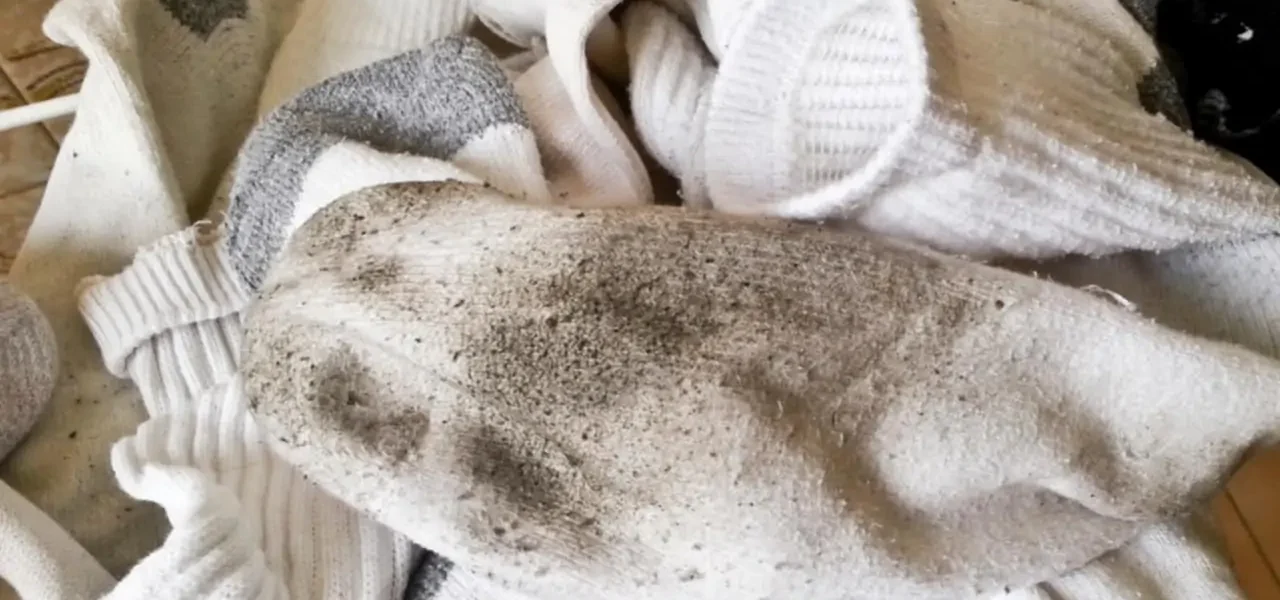 5 trucos fantásticos para blanquear los calcetines y recuperarlos como nuevos