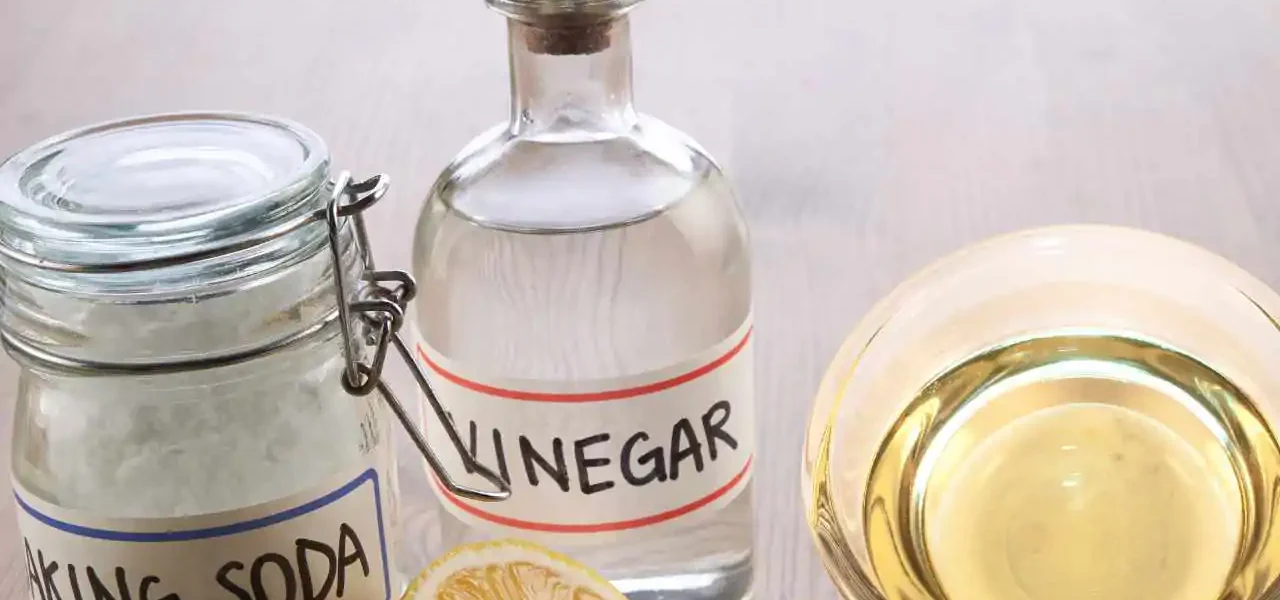 ¿Cuál es la diferencia entre el vinagre de alcohol y el vinagre de vino y cuál es mejor para limpiar?
