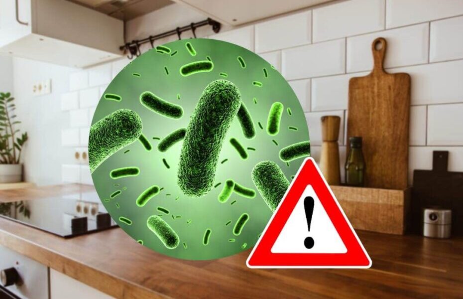 Este es uno de los objetos más sucios de la cocina (y nunca lo lavamos)