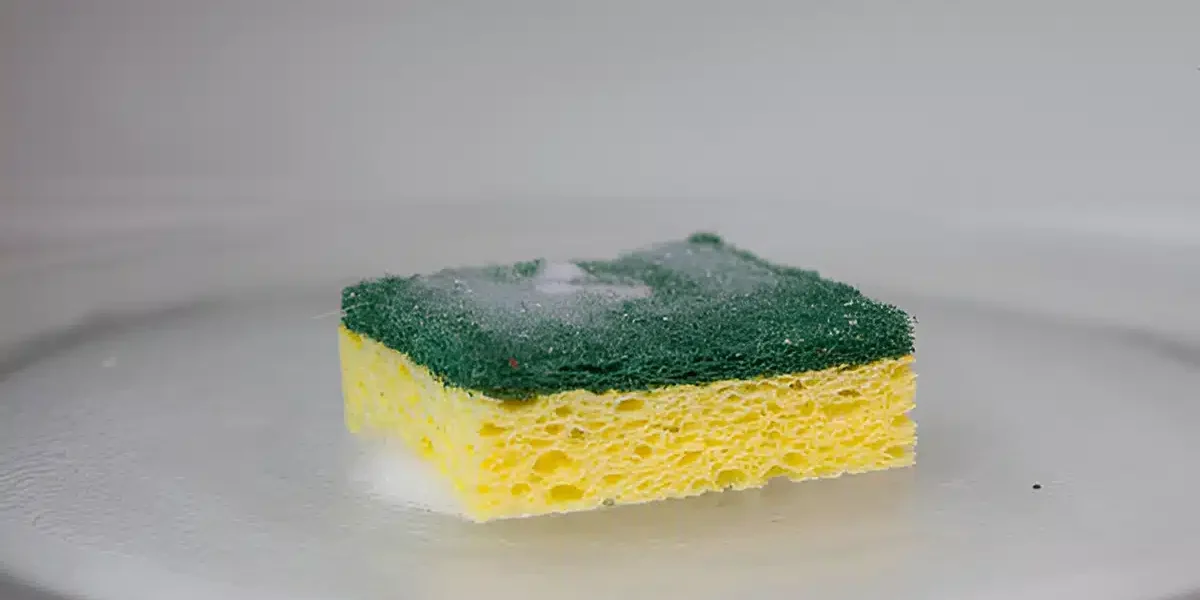 ¿Por qué meter una esponja húmeda en el microondas?