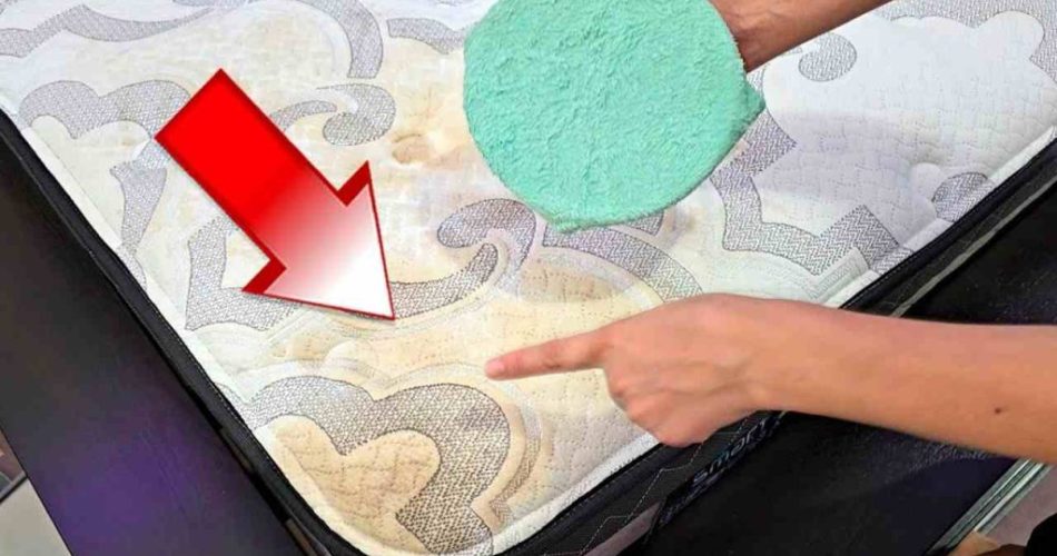 Los secretos de las empleadas domésticas para quitar las manchas de los colchones, muebles y sillones.