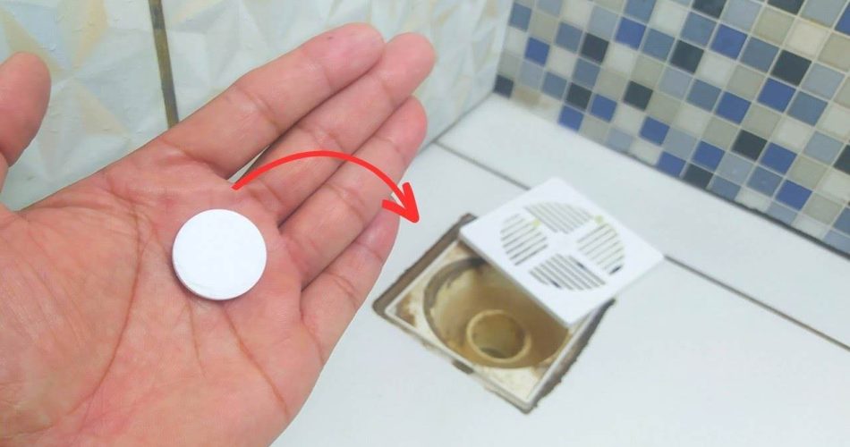 Ponlo en el baño y sorpréndete: ¡adiós a los malos olores!