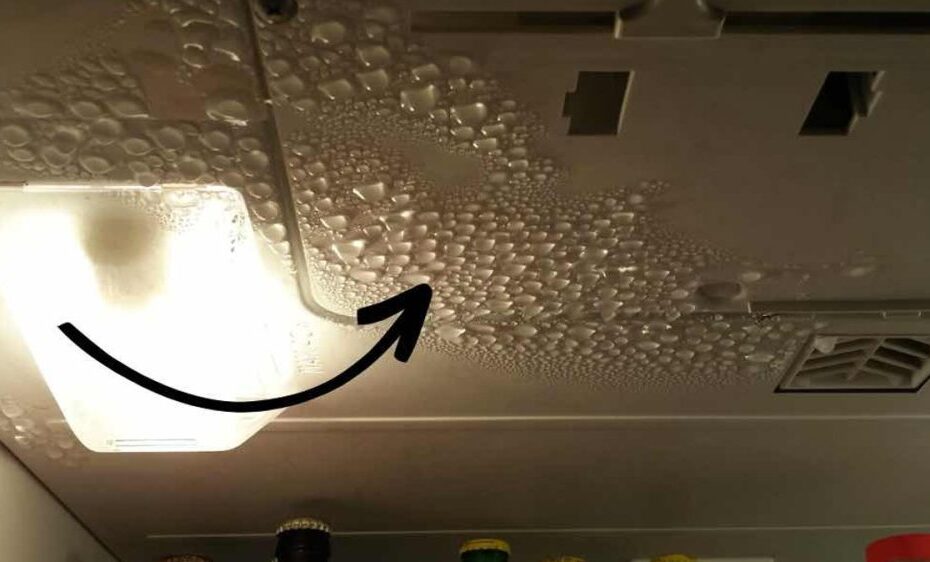 Condensación y agua en el frigorífico: por qué se produce y cómo evitarla