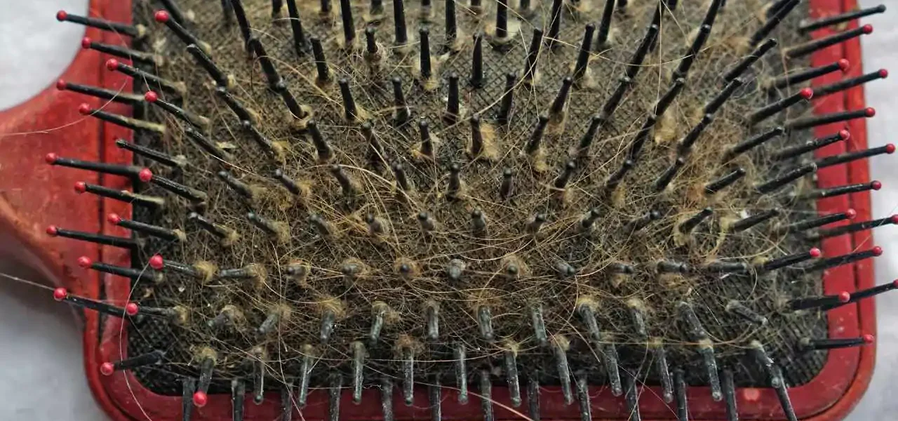 Cómo limpiar tu cepillo de toda la suciedad