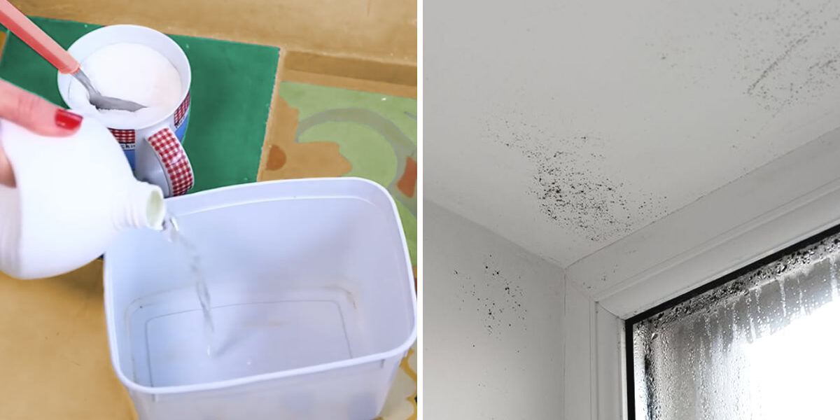 Cómo eliminar el moho con el truco del azúcar