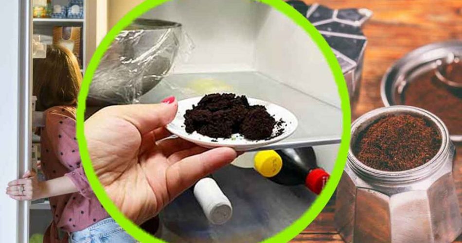 Posos de café, no los tires: escúrrelos y mételos en el frigorífico | ¡Este paso salva a millones de personas!