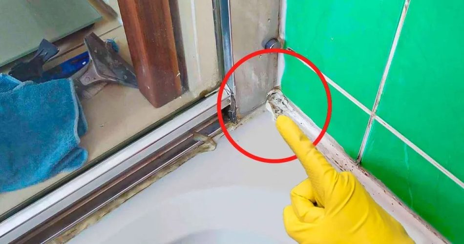 ¿Cómo puedo eliminar el moho de las juntas de la ducha?