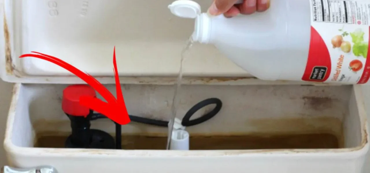 ¿Por qué en las redes sociales se ve tanta gente que pone vinagre en el inodoro? La razón es esta aquí