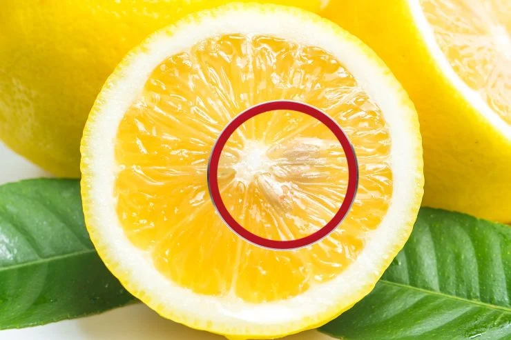 Zitronensamen: Wenn Sie sie wegwerfen, irren Sie sich! Sie sind sehr nützlich!