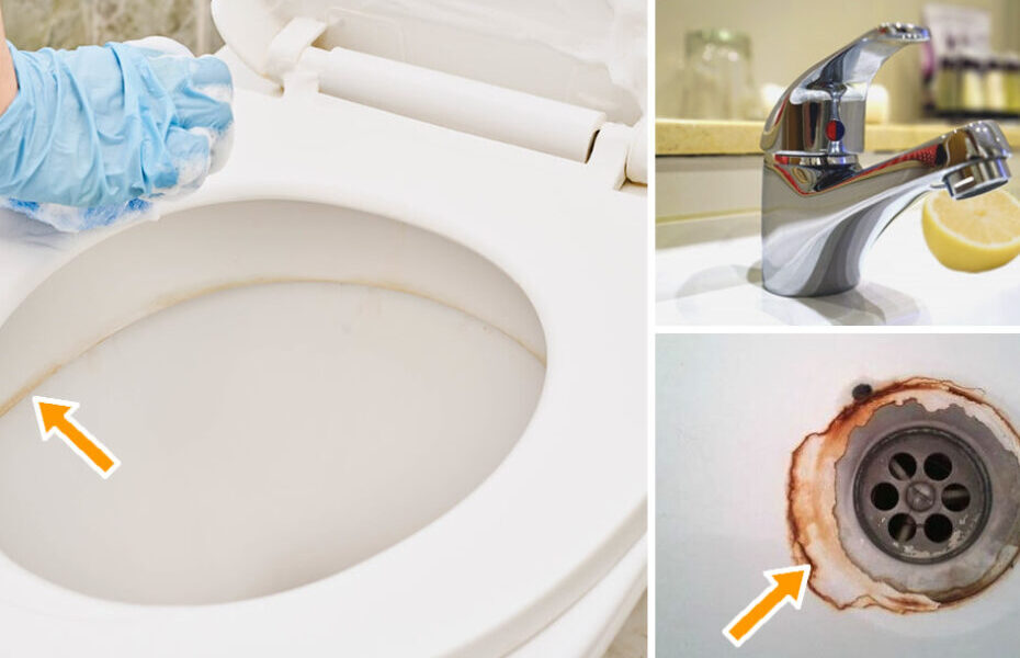 Consejos para transformar su cuarto de baño en un oasis de pureza sin esfuerzo