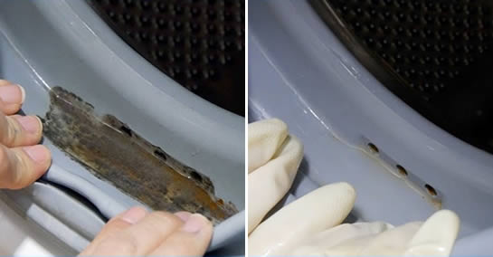 Cómo limpiar y desinfectar a fondo la lavadora con ingredientes naturales