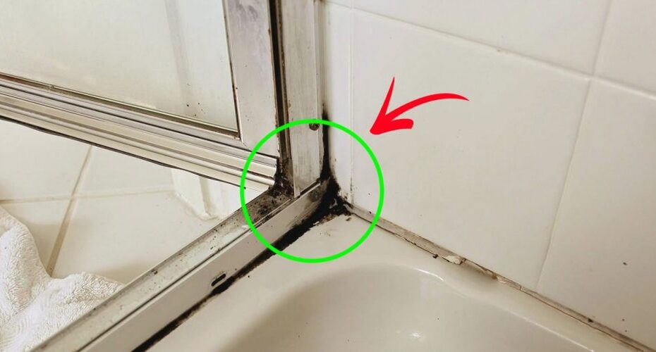 La forma más rápida de eliminar el moho de silicona en la ducha