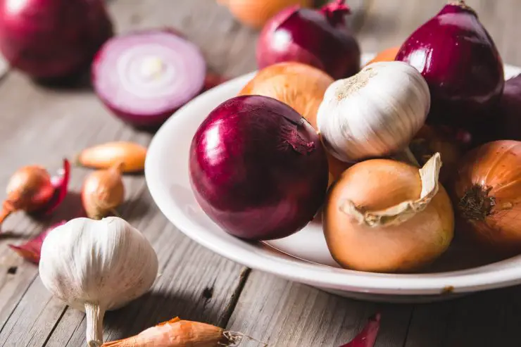 Cebollas y ajos: consérvelos así hasta seis meses.
