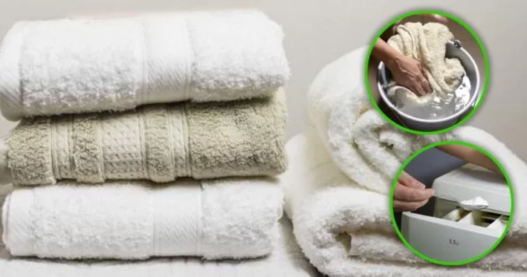 El truco de los hoteles para tener siempre toallas muy suaves