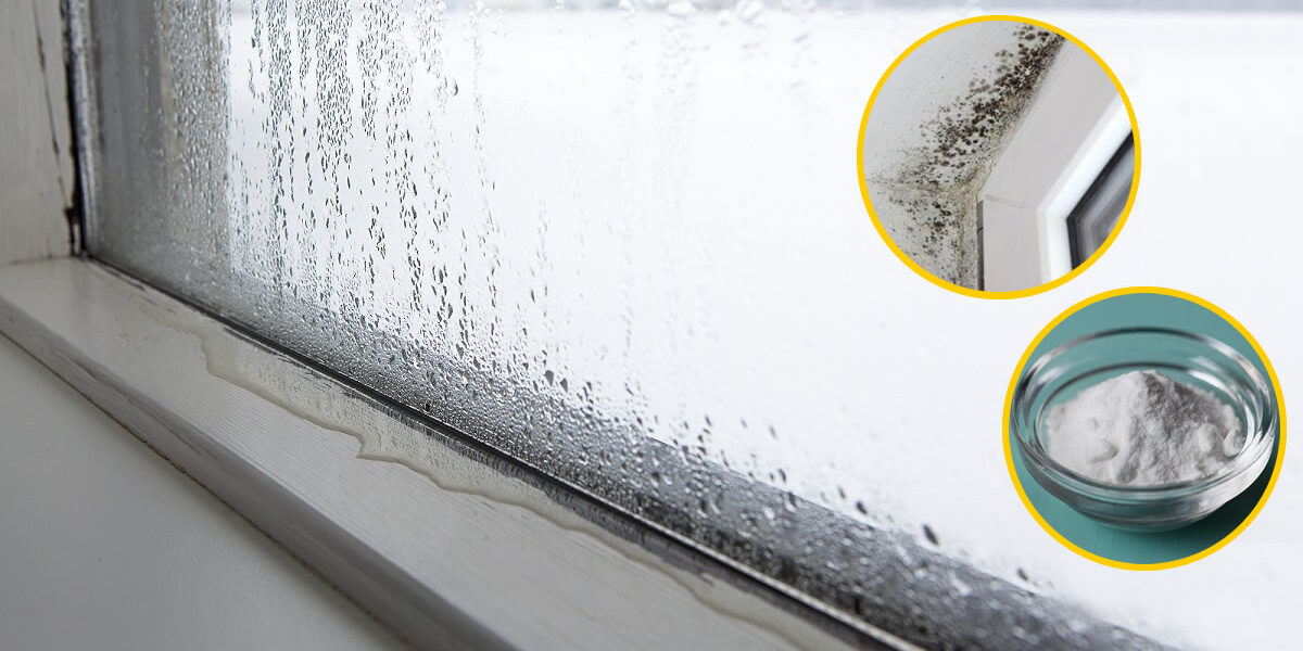 5 trucos para eliminar la condensación de las ventanas