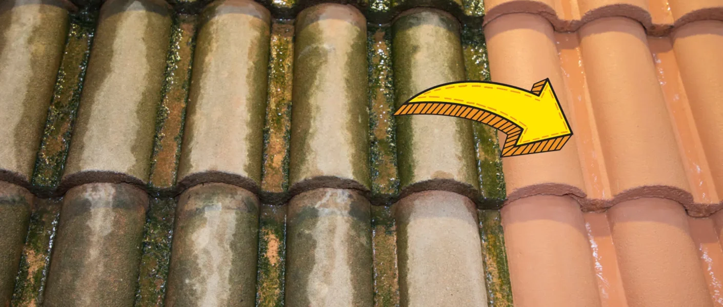 5 consejos naturales para eliminar con éxito el musgo del tejado