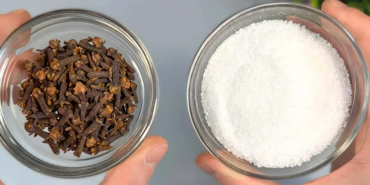 El truco para eliminar los malos olores del baño y dejar una agradable fragancia