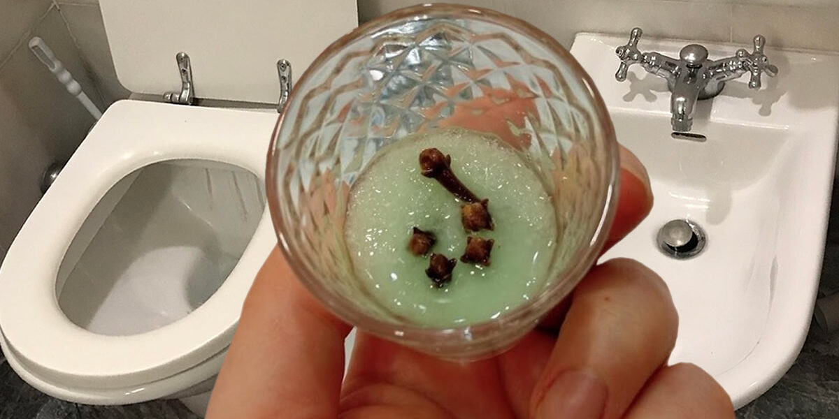 El truco natural para neutralizar los olores del baño y perfumarlo durante días