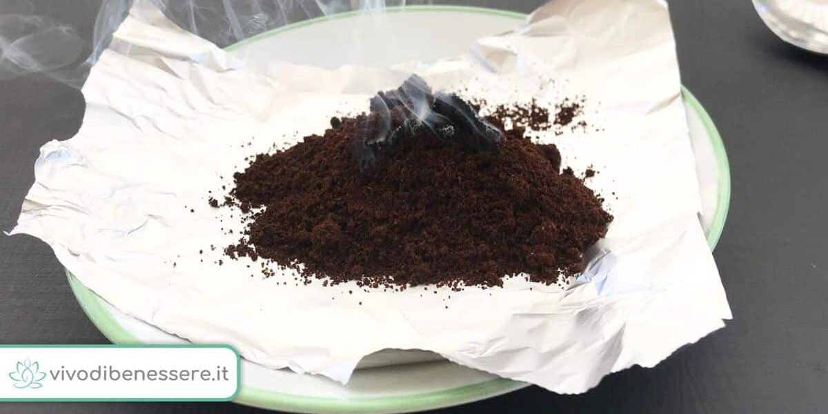 Cómo ahuyentar a los mosquitos con posos de café