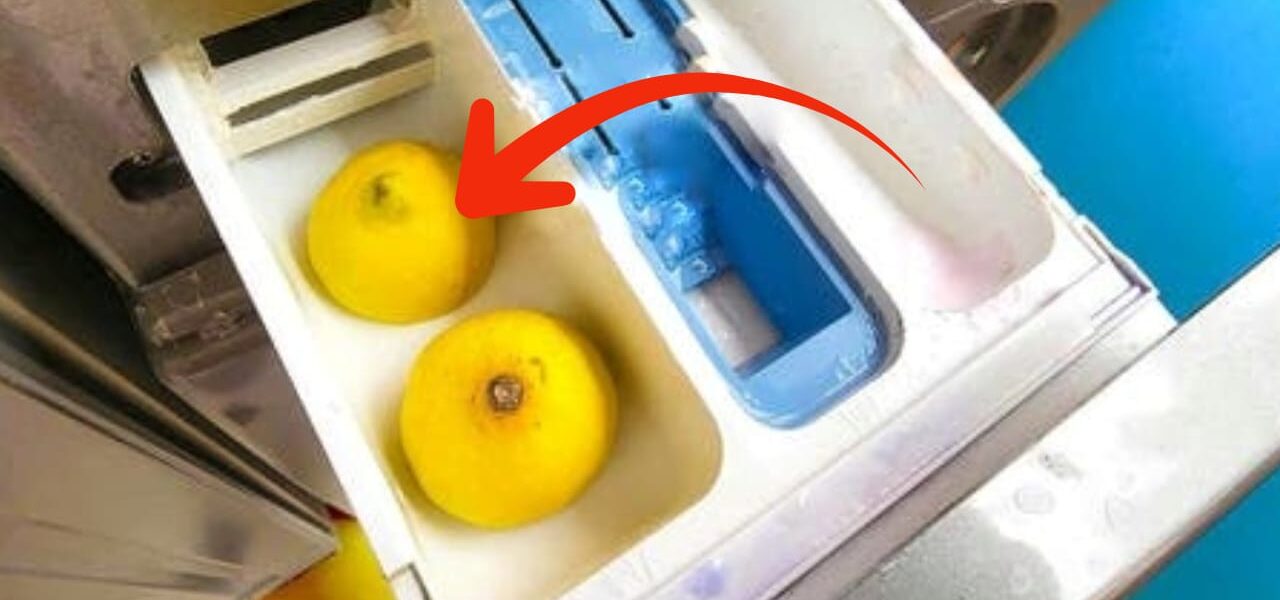 Lavadora, mete dos limones en la bañera: un ingenioso truco de las lavanderías