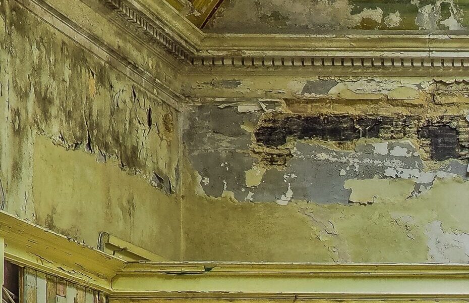 ¿Por qué se sigue formando moho en techos y paredes? La solución que no espera