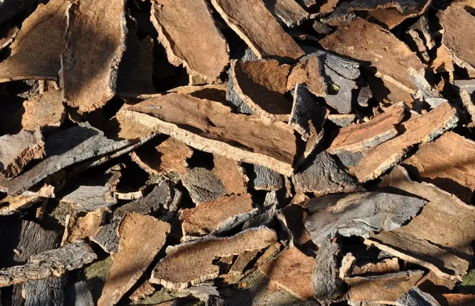 El material aislante natural que utilizaban los romanos para evitar el frío en las casas