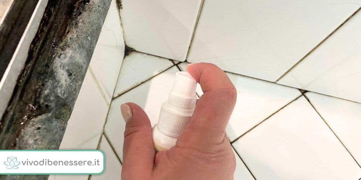 Cómo quitar el moho de la silicona de la ducha