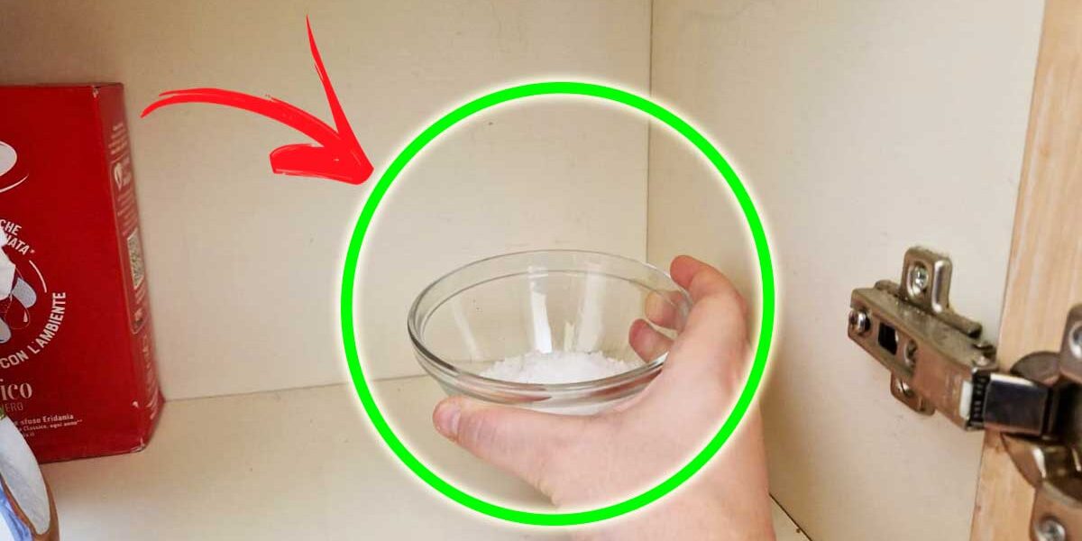 Cómo evitar la humedad en los muebles de madera