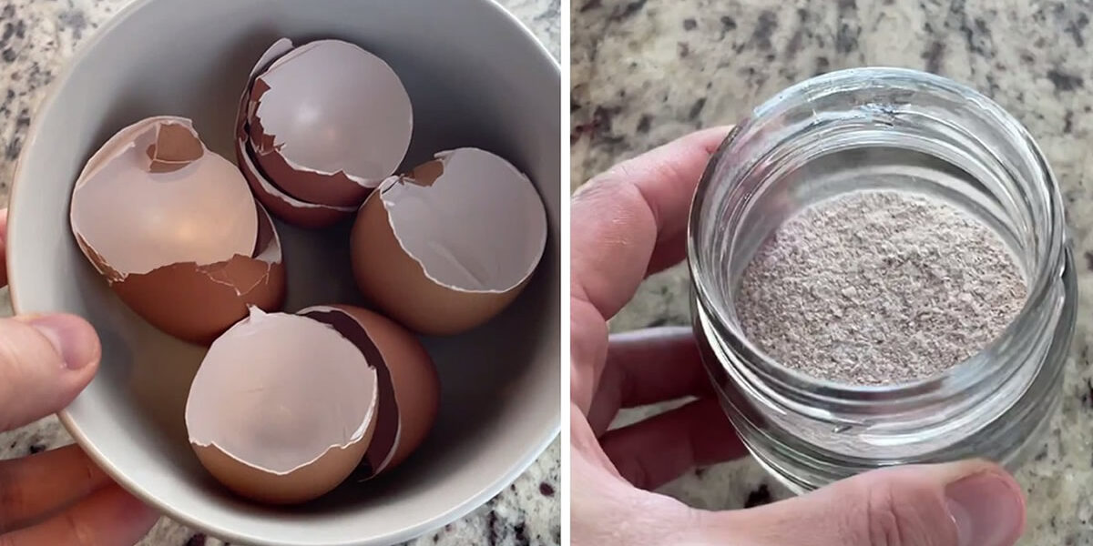 No tires las cáscaras de huevo: así se utilizan