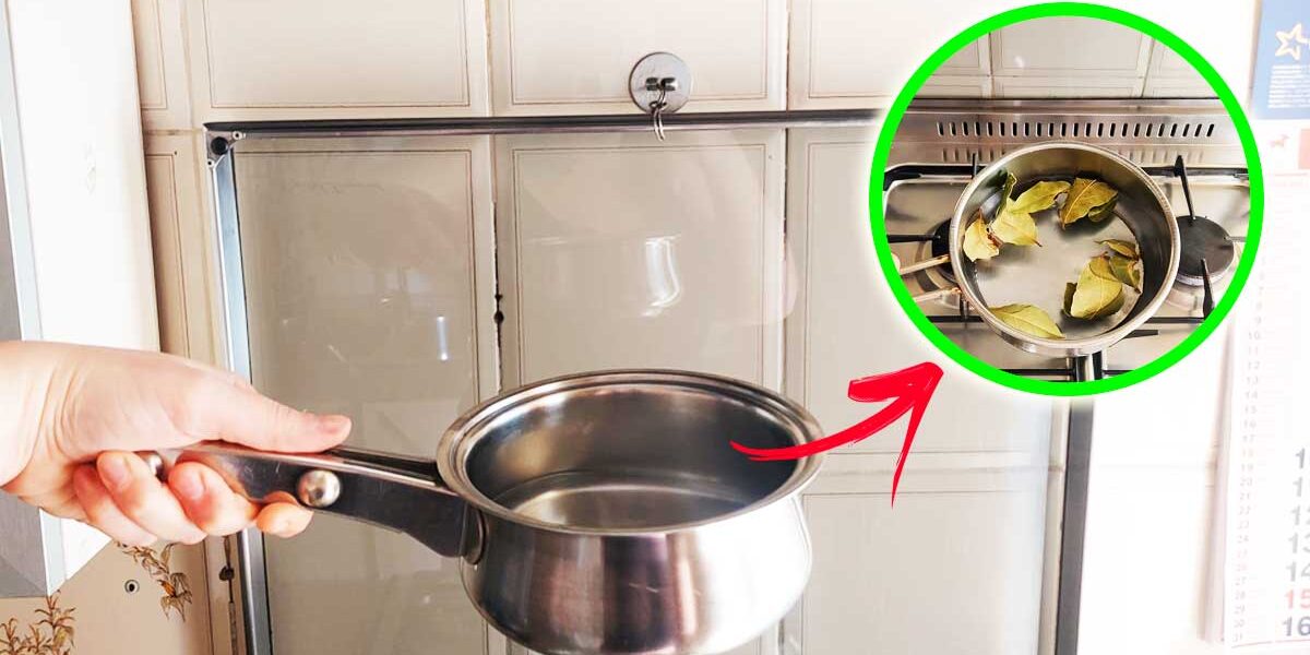 Cómo me deshice del olor a cocina en casa con algunos remedios que probé y funcionan