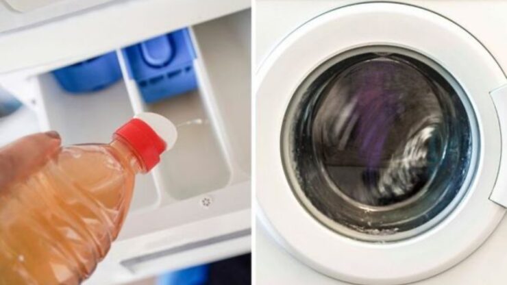 El técnico no te lo dirá, pero sólo así evitarás problemas con tu lavadora: te ahorrarás mucho dinero y llamadas innecesarias