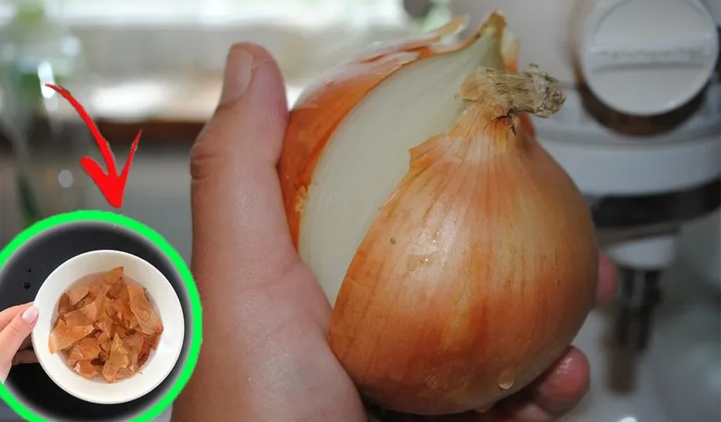 Las cáscaras de cebolla, las entierran todas en el huerto. El viejo truco de los jardineros.