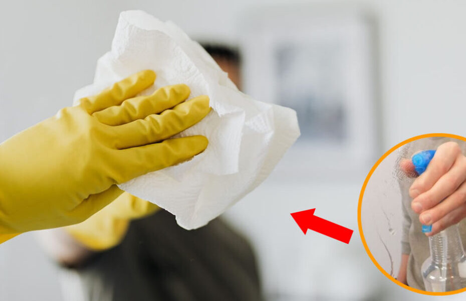 2 consejos eficaces para limpiar los cristales y espejos de casa sin dejar rayas