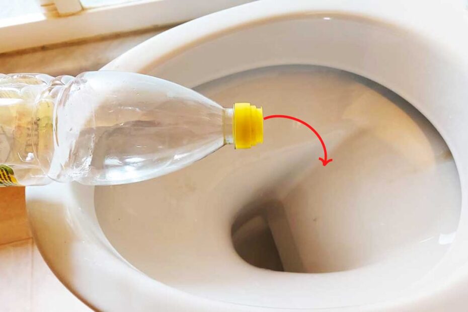 El vinagre en el agua resuelve un problema muy molesto: muchas personas lo hacen