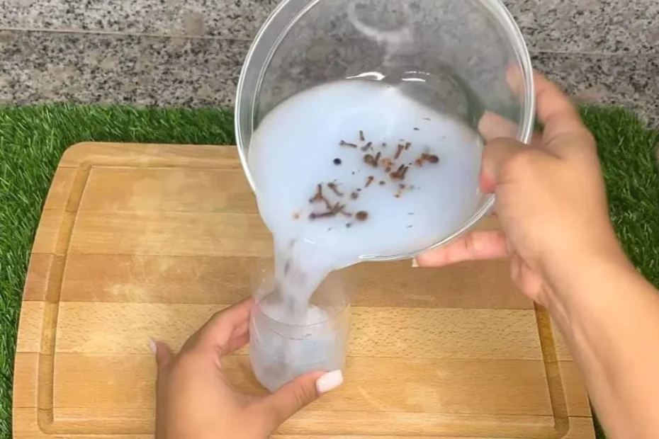 Con este truco, ni un solo mosquito te picará y la casa olerá siempre bien