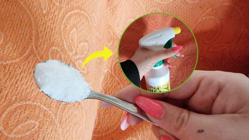 Cómo limpiar perfectamente el sofá sin esfuerzo: parecerá recién comprado.