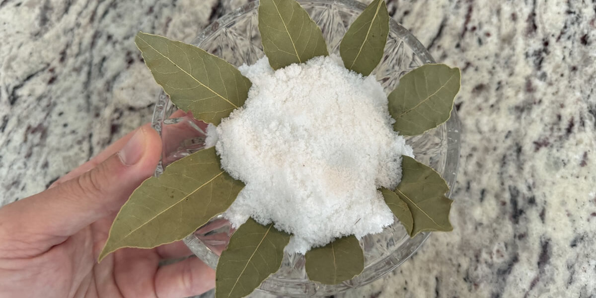 Hojas de laurel y sal: un remedio antiguo que vale su peso en oro