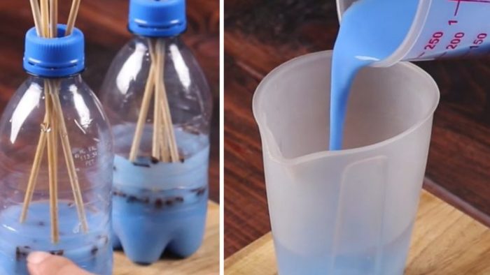 Deja un aroma agradable en casa y ahuyenta a las moscas y los mosquitos: ¡no hace falta mucho!