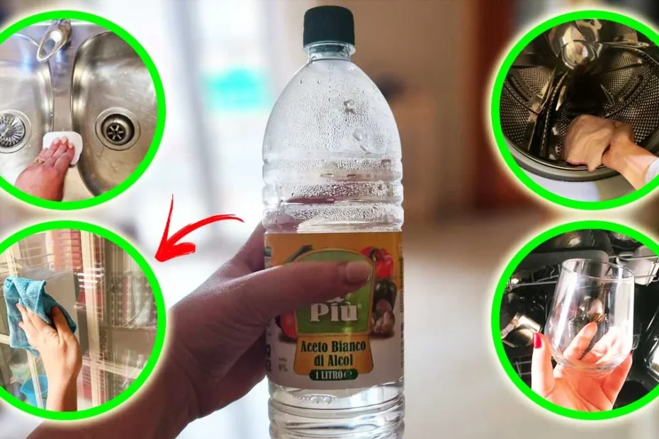 BASTA UNA BOTELLA DE VINAGRE DE ALCOHOL PARA HACER TODA ESTA LIMPIEZA EN CASA