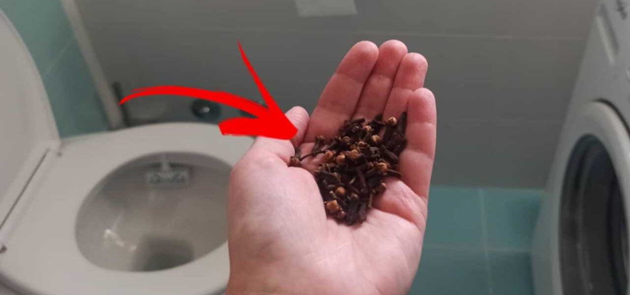 Clavos de olor en el váter: es increíble lo que pasa si los dejas toda la noche