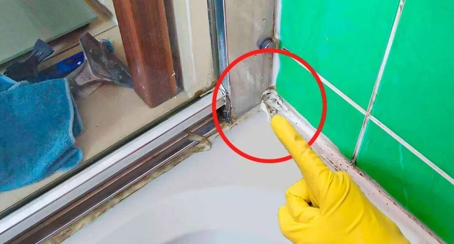 ¿Cómo eliminar el moho de la junta de la ducha?