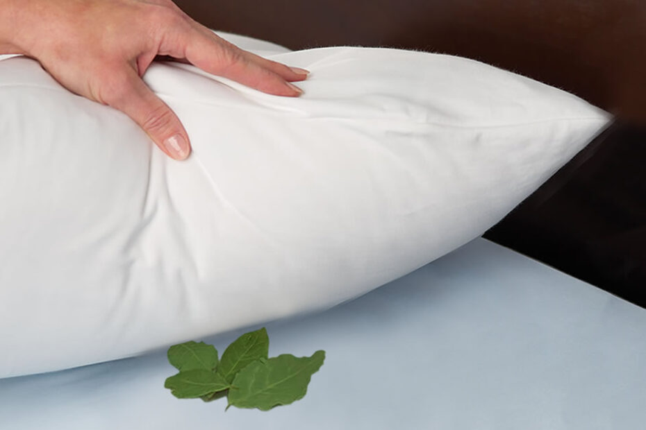 La antigua costumbre del laurel bajo la almohada: por eso lo hacían nuestros abuelos