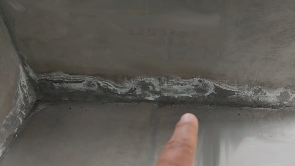 Salitre: cómo eliminar definitivamente el moho blanco de las paredes de tu casa