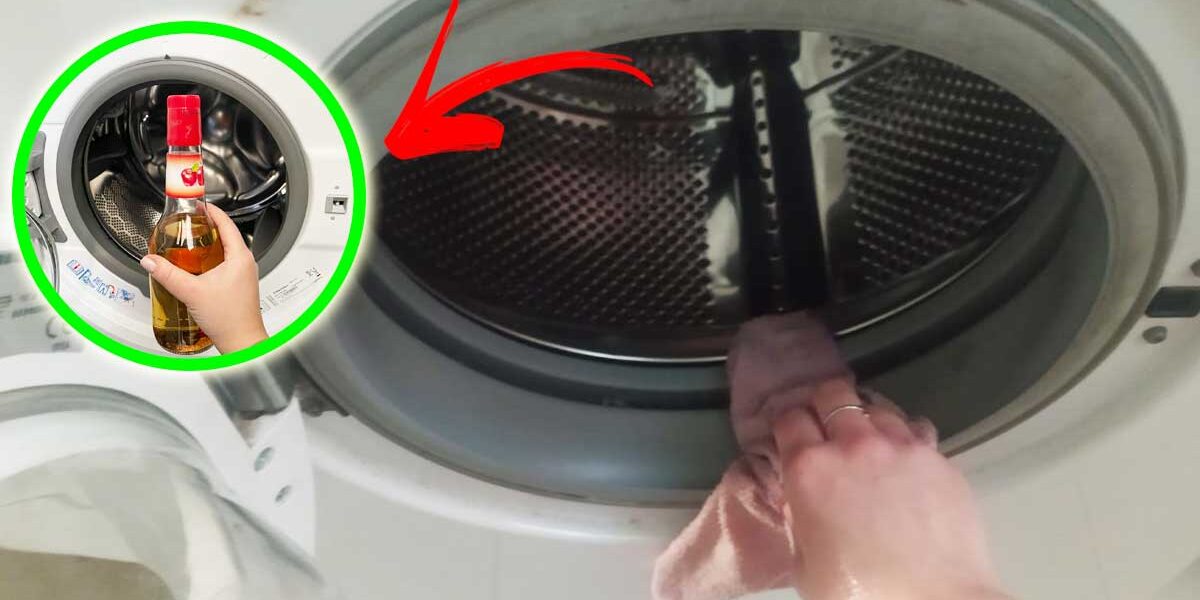 Qué limpiar en la lavadora cada semana