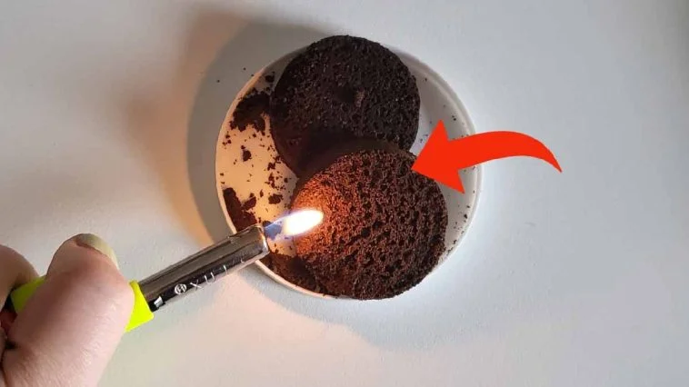 ¿Qué pasa si quemas los posos de café en casa? ¡Te vuelves adicto a ellos!