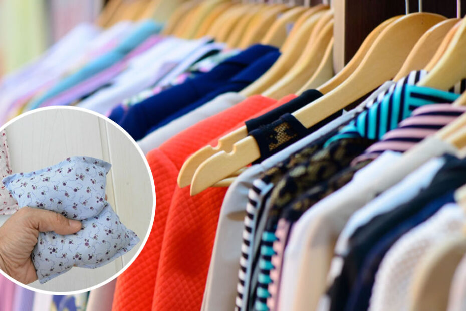 Cómo eliminar el olor a humedad de los armarios para tener siempre ropa perfumada