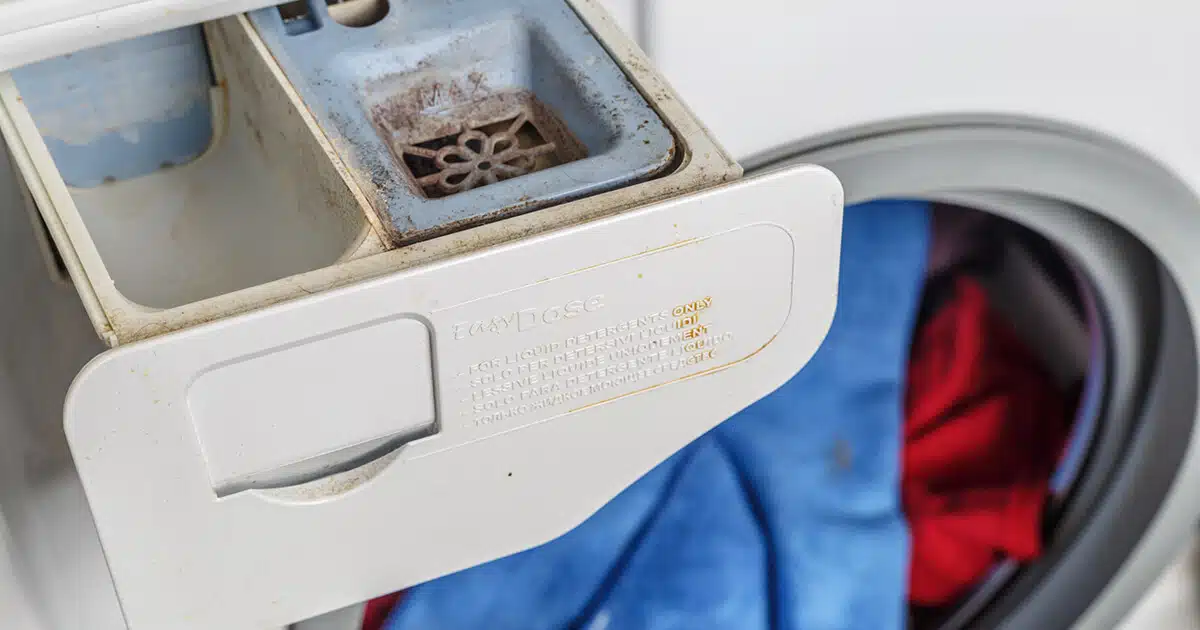 El truco para limpiar el cajón de la lavadora y eliminar cualquier rastro de moho