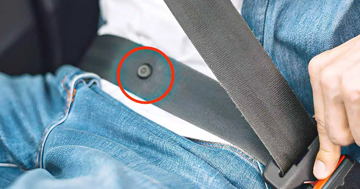 Pero, ¿para qué sirve realmente ese pequeño botón del cinturón de seguridad del coche?